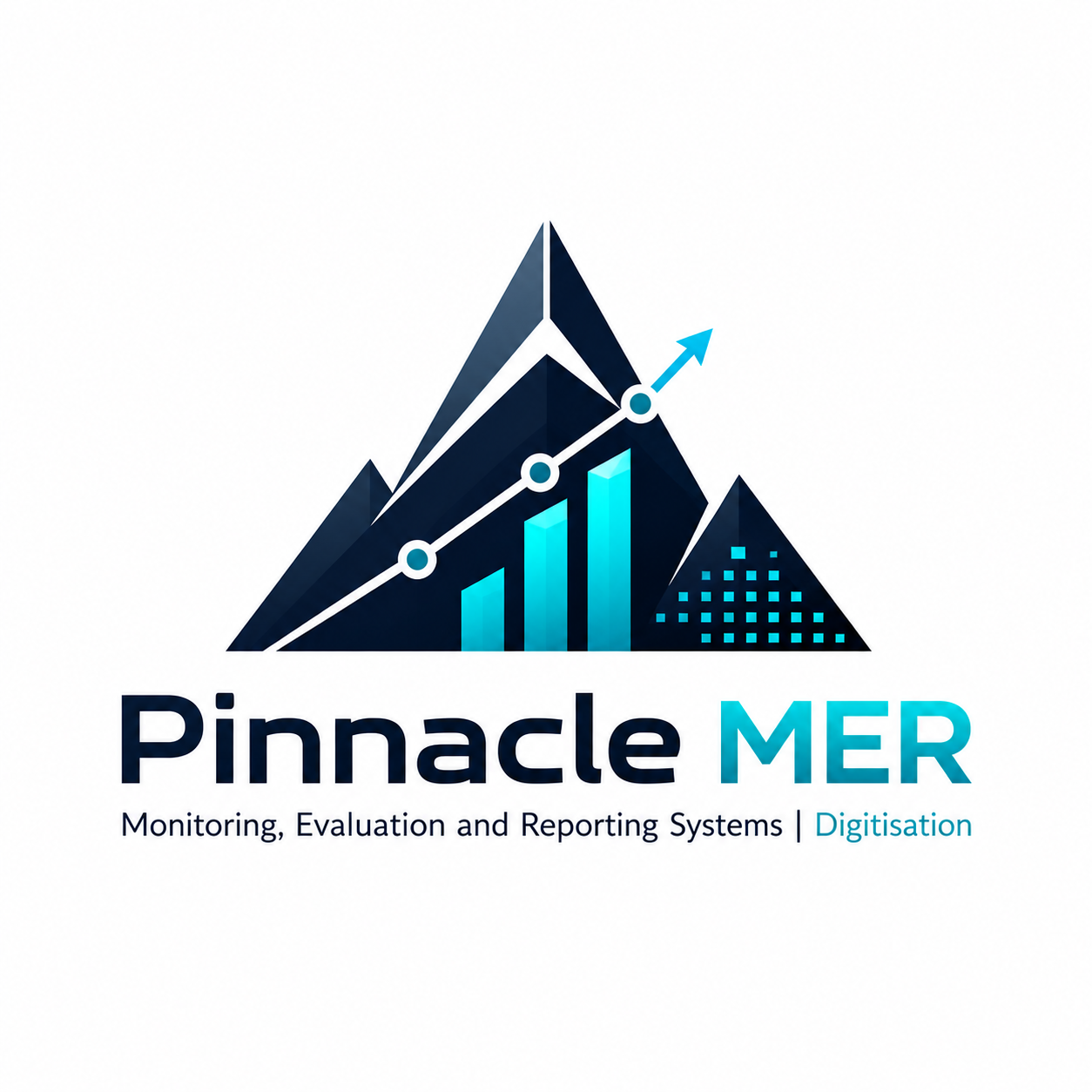 Pinnacle MER and Digital Transformation Solutions